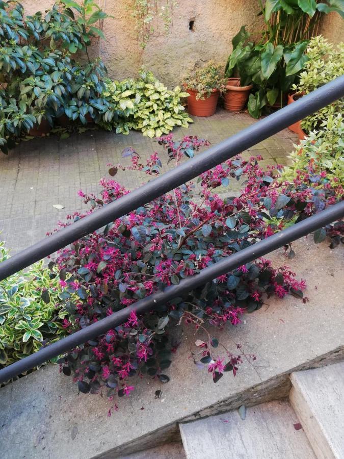 Tra Gianicolo E Trastevere ローマ エクステリア 写真