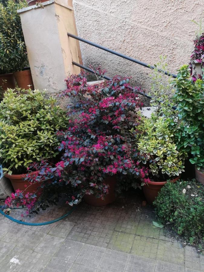 Tra Gianicolo E Trastevere ローマ エクステリア 写真