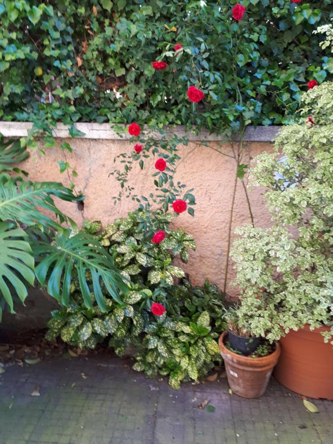 Tra Gianicolo E Trastevere ローマ エクステリア 写真